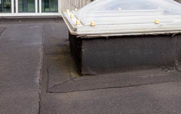 disadvantages of Carleton flat roofs