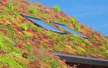 Carleton living roof systems