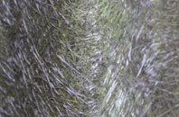 Carleton fibreglass roof work