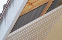 rated Carleton soffit repair companies